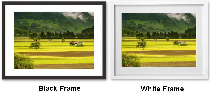 Select Your Frame